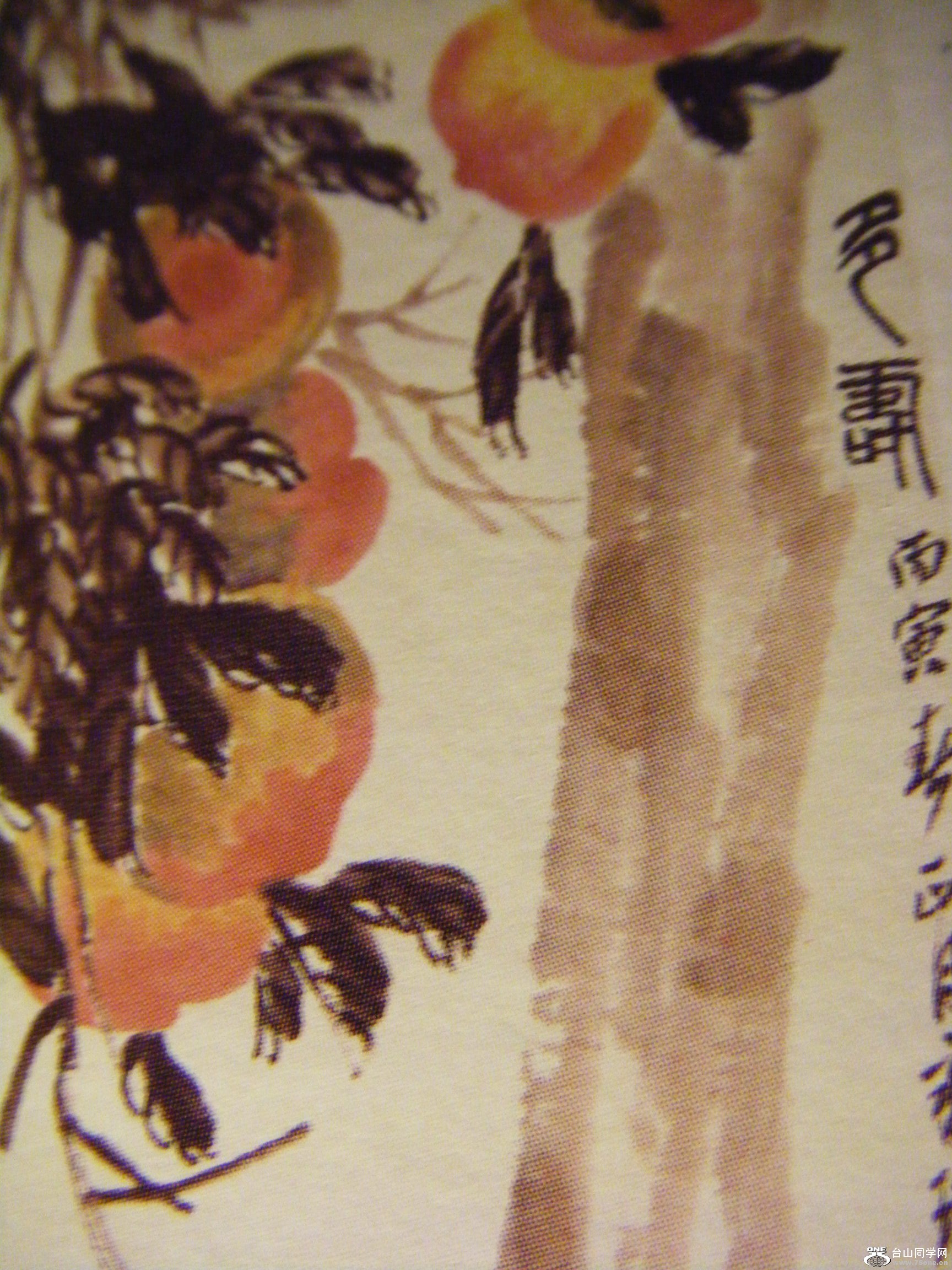 ҼС҃ȡӰ 074.JPG