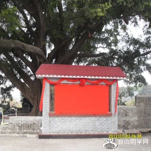 conew_sdc11642.jpg
