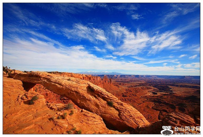 82_2580_08d02d5ccf1ee14[1].jpg
