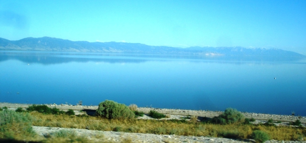 DSC02217-ed.JPG