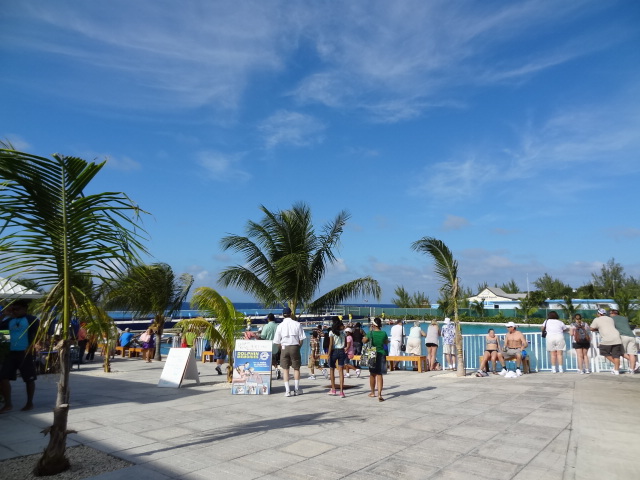 DSC00240.JPG