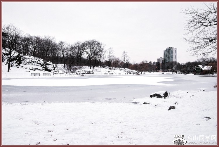 DSC_7833a_.jpg