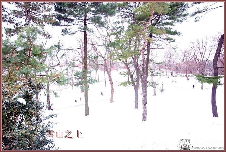 dsc_7309.jpg
