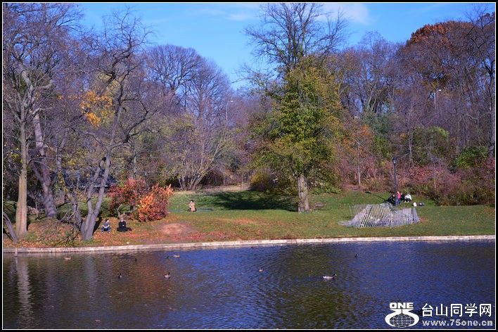 DSC_2579.jpg