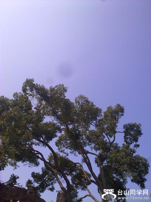 201201312327.jpg