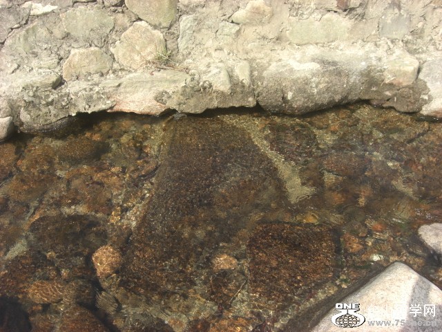 CIMG6902.JPG