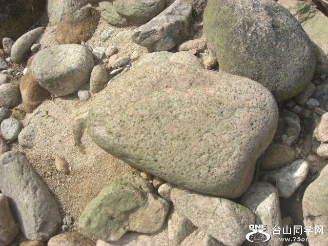CIMG6905.JPG
