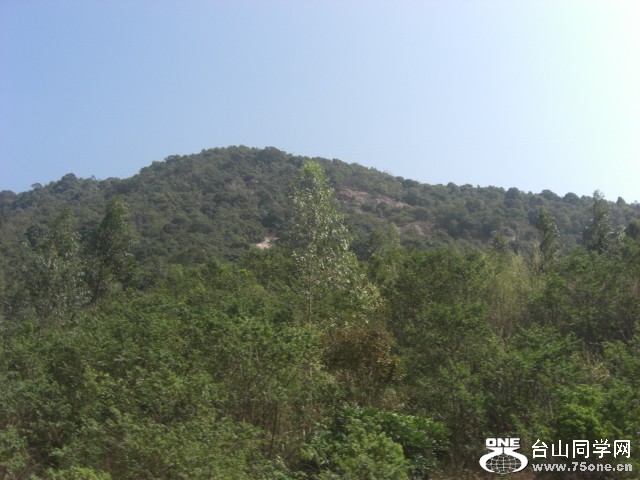 CIMG6870.JPG