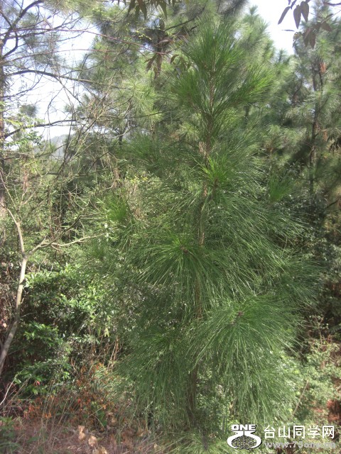 CIMG6823.JPG