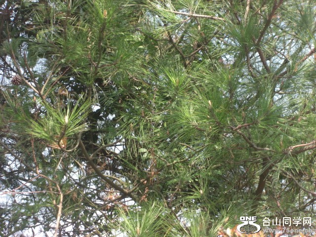 CIMG6842.JPG