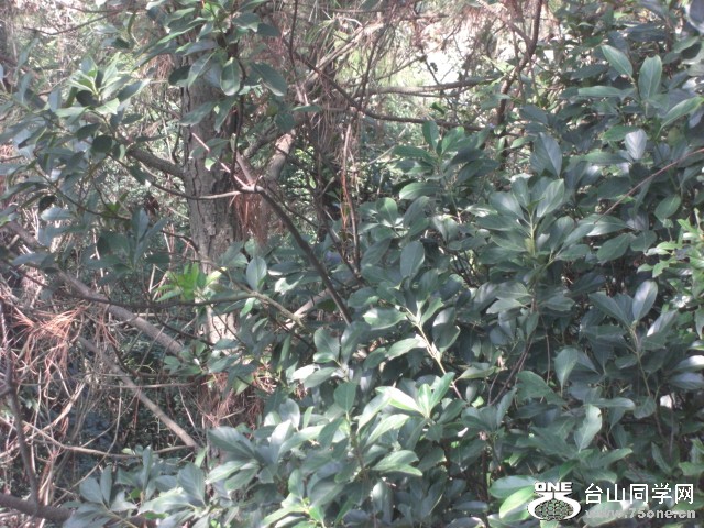 CIMG6855.JPG