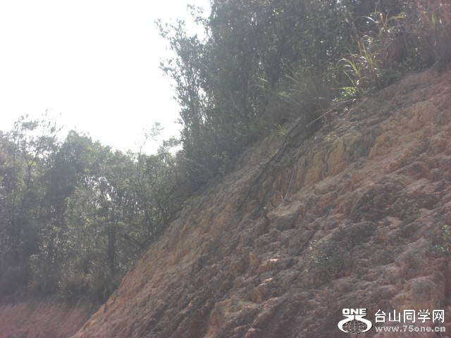 CIMG6844.JPG
