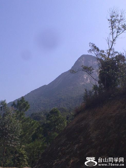 201201312331.jpg