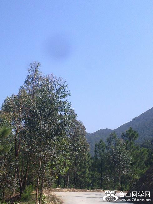 201201312330.jpg