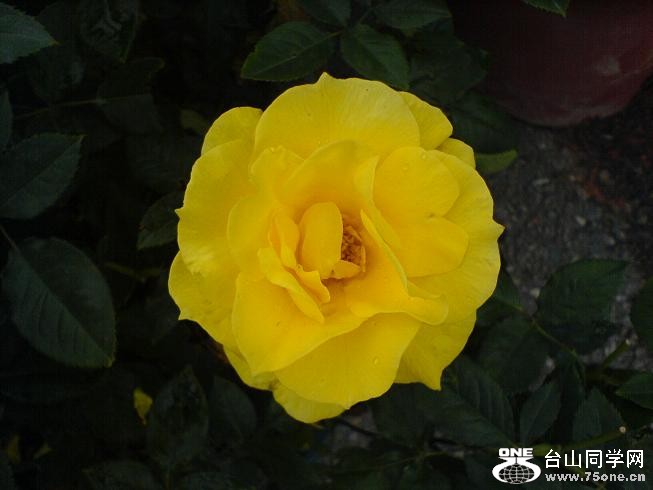 DSC06256.JPG