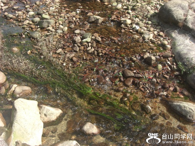 CIMG6898.JPG