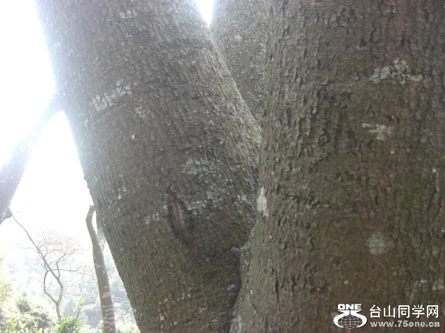 CIMG6887.JPG