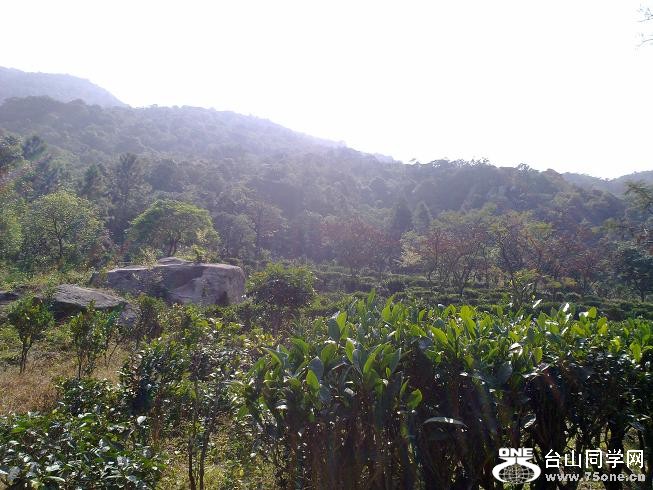 201201312383.jpg