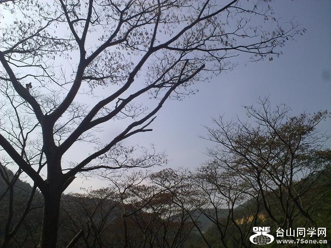 201201312335.jpg