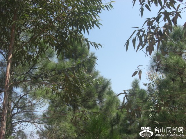 CIMG6824.JPG