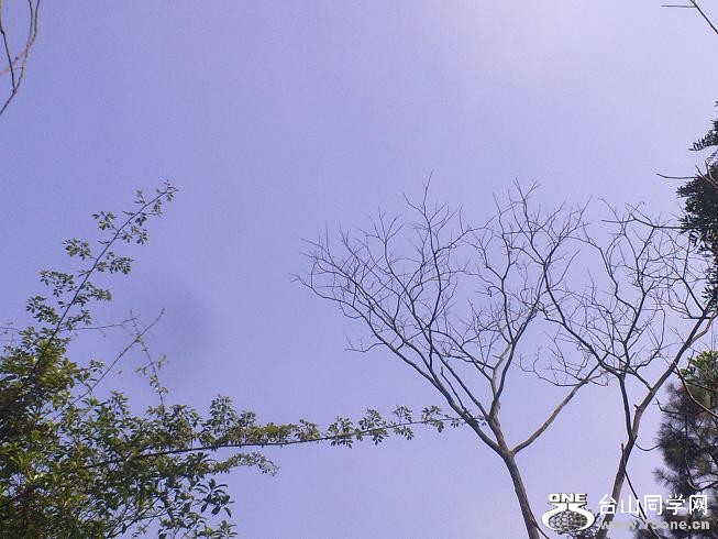 201201312360.jpg