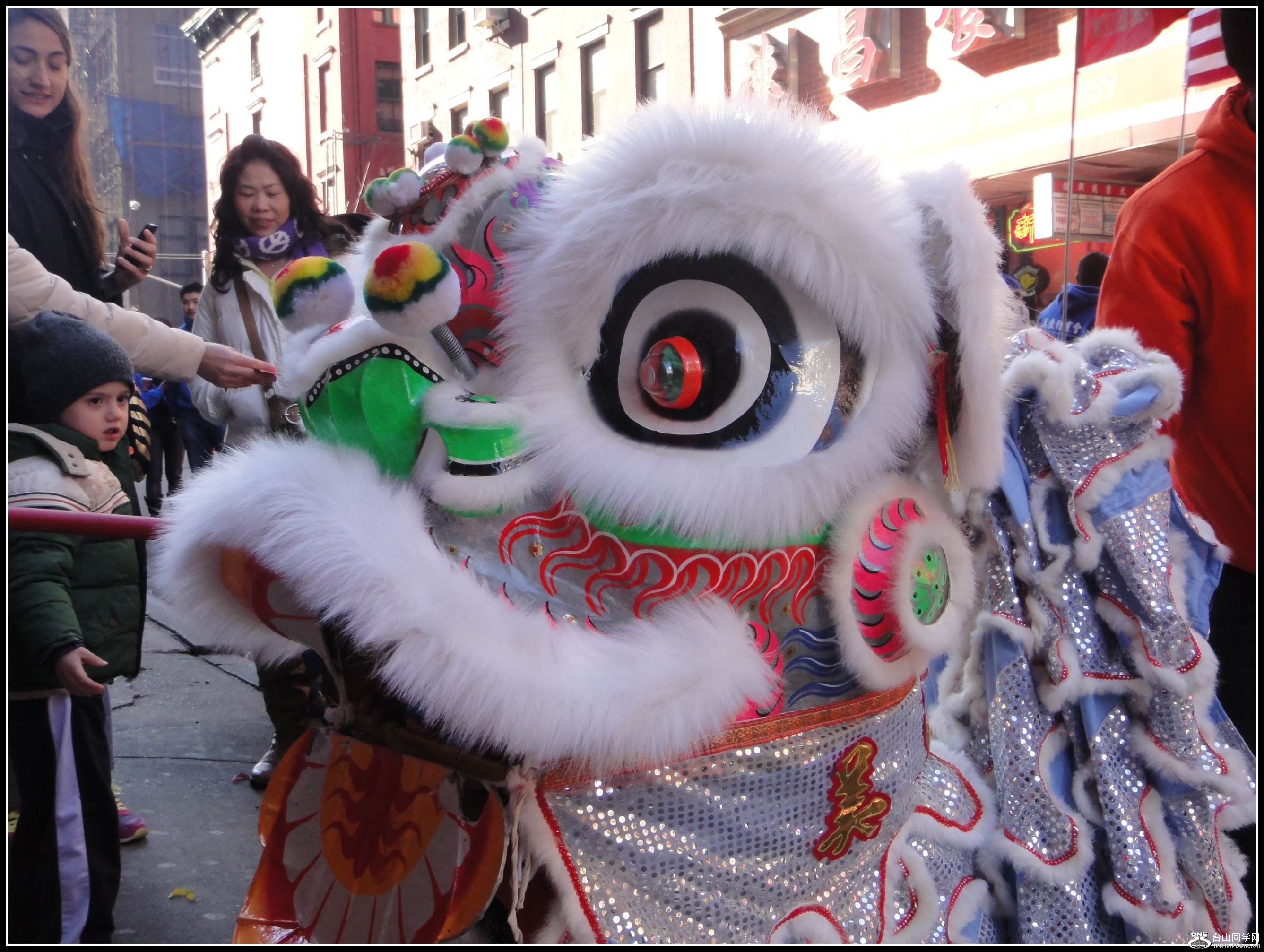 DSC08857.JPG