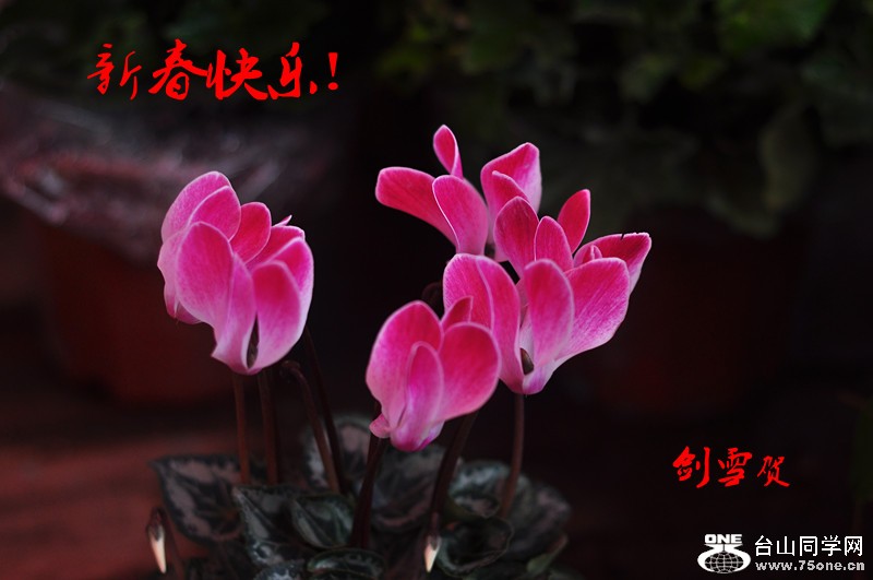DSC_0051_副本.jpg