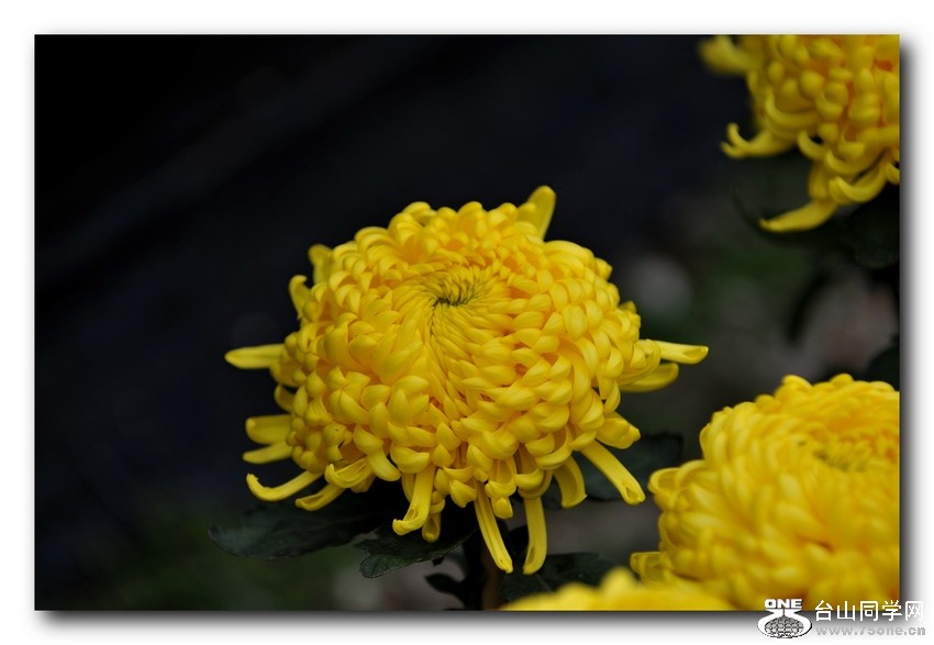 Ƭ 0381.jpg