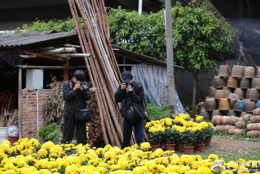 Ƭ 0411.jpg
