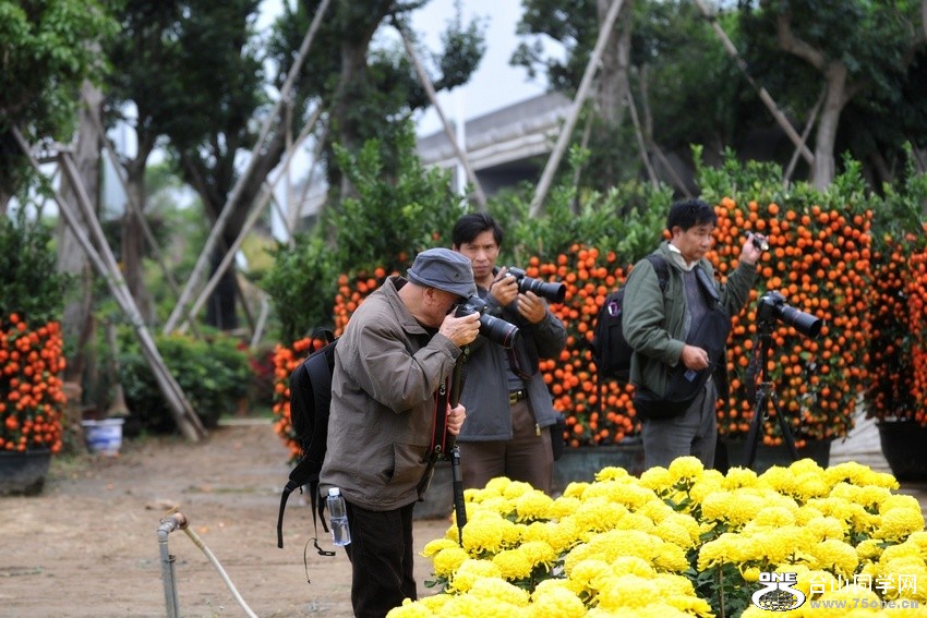 Ƭ 0421.jpg