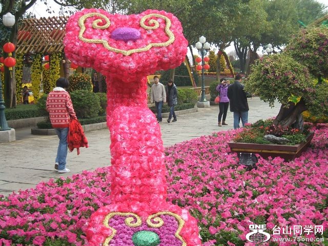 DSCF3859.JPG