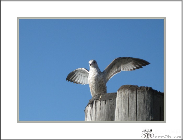IMG_1582 copy.jpg