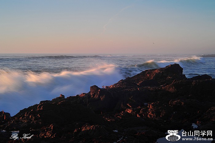 DSC_0355_conew1.jpg