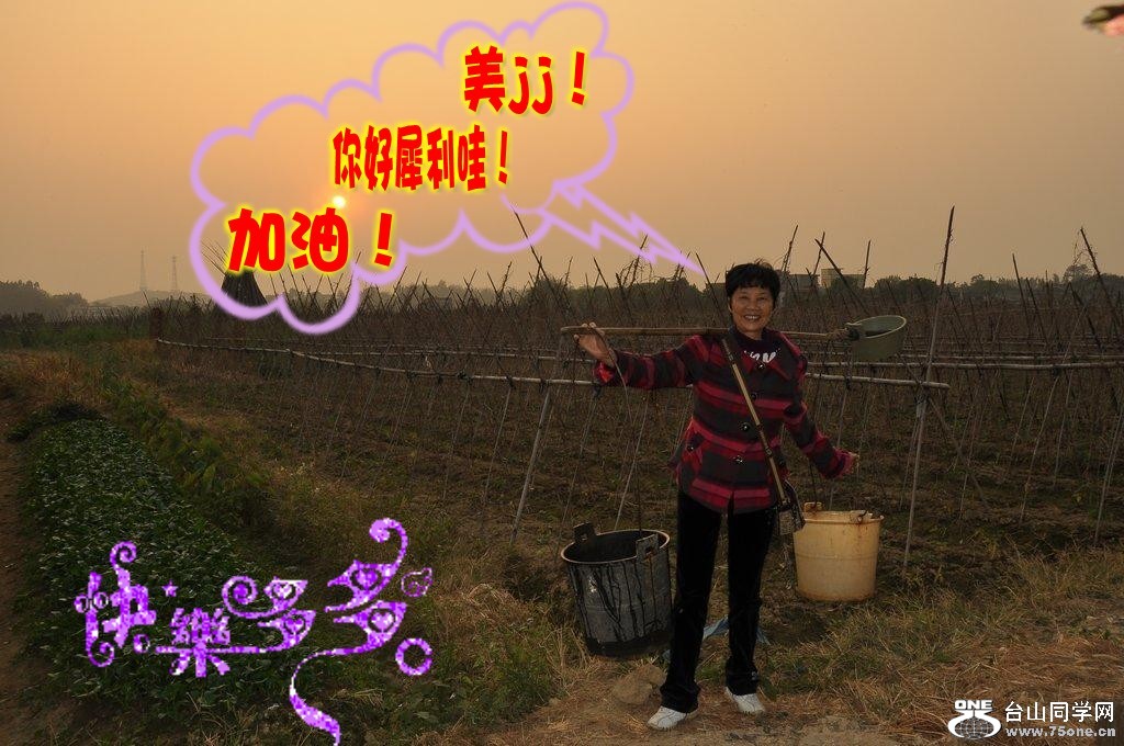 60_3279_a29398ea71c258e_conew5.jpg