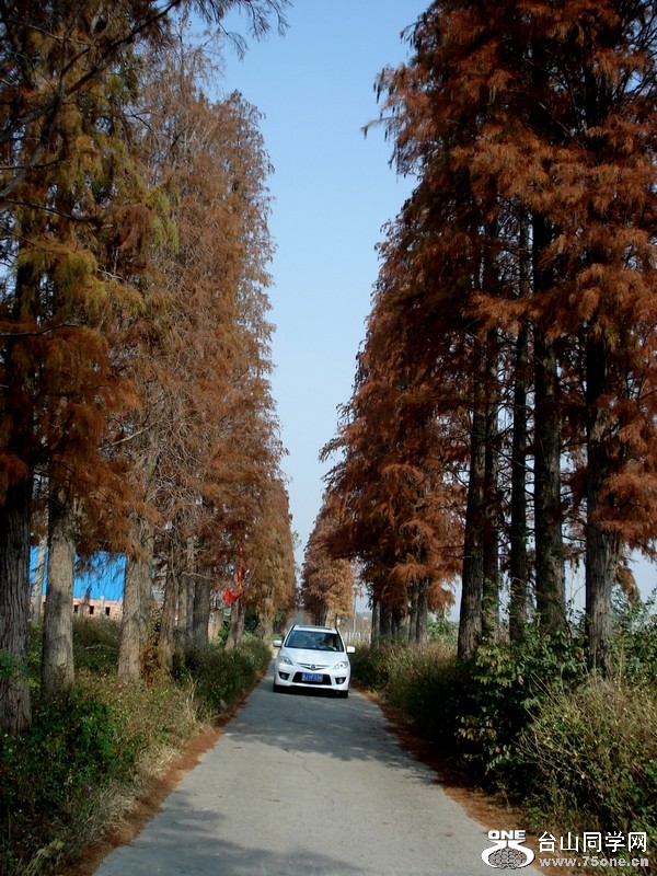 DSC05503.jpg