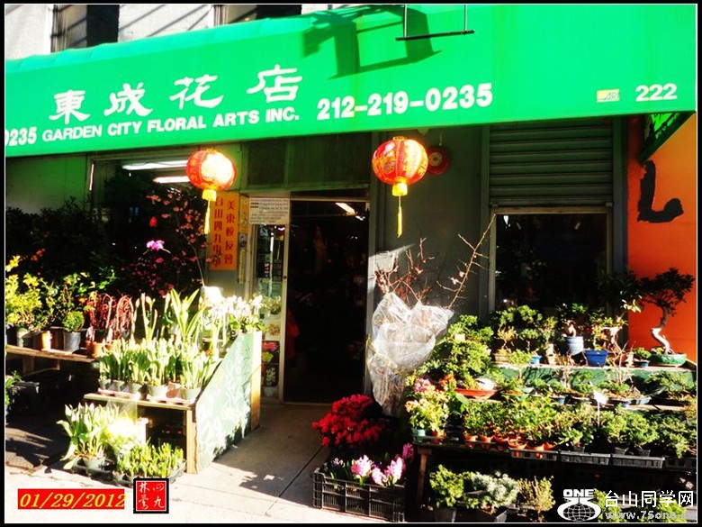 DSC03531_.jpg