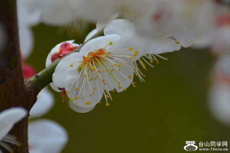 DSC_0403.jpg