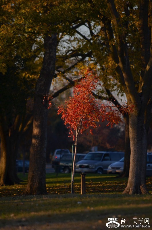 dsc_0398_56.jpg