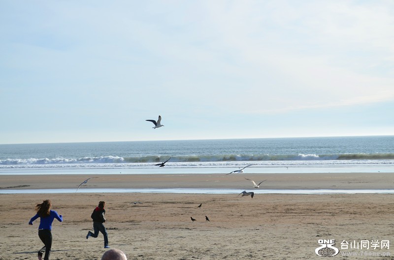 dsc_0691i.jpg