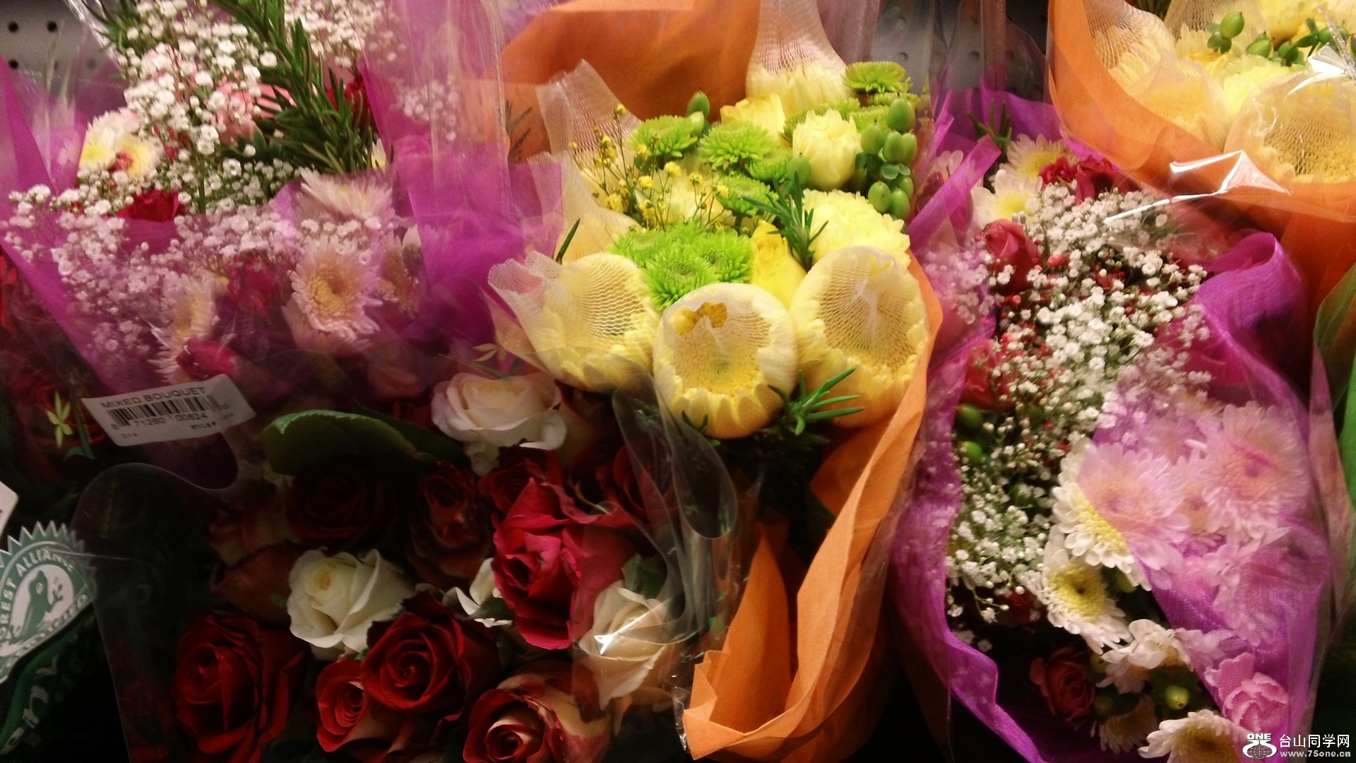 Ƭ 005.jpg