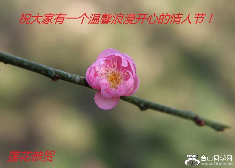IMG_3260-2-2.jpg