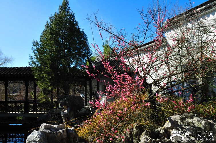DSC_3220.jpg