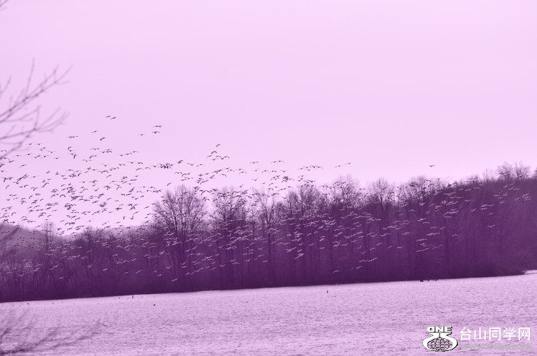 DSC_1917.jpg