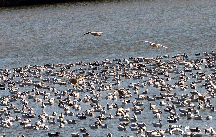 DSC_2219.jpg