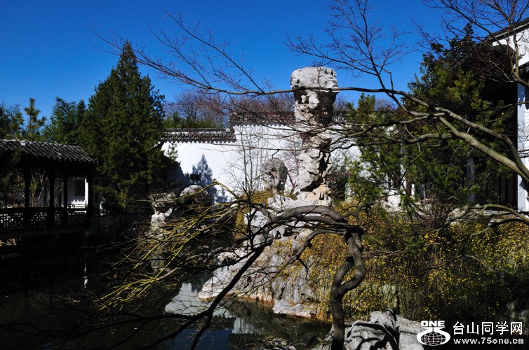 DSC_3015.jpg