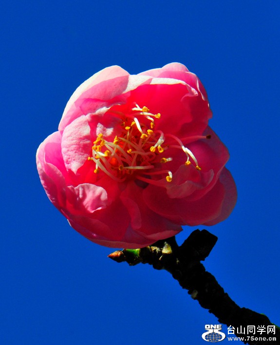 DSC_3099.jpg