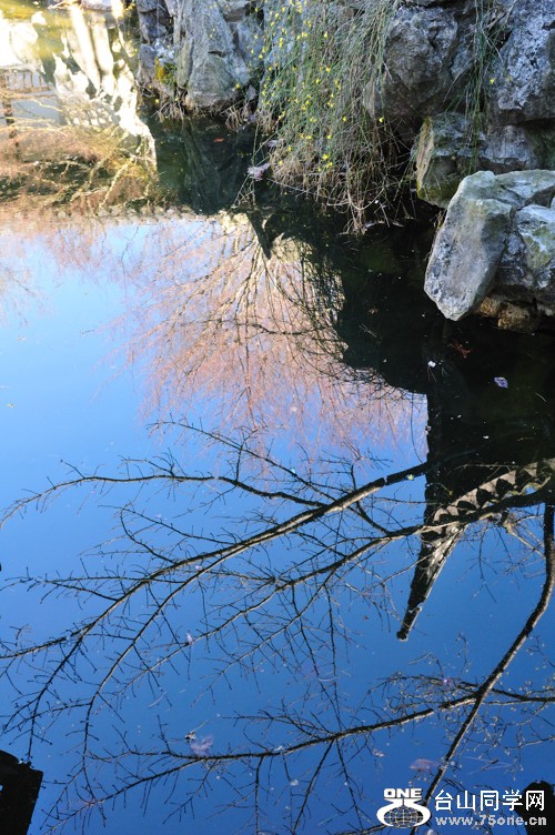 DSC_3193.jpg