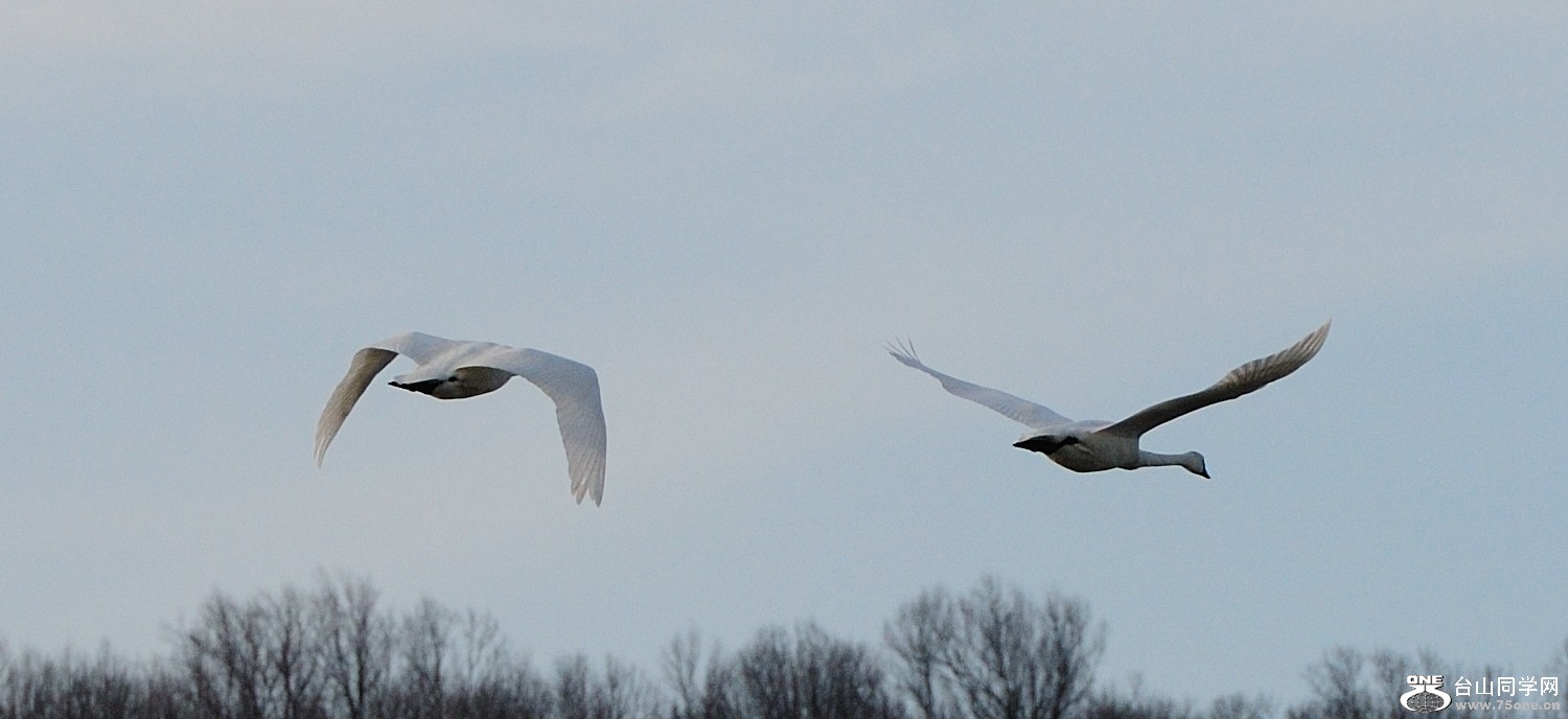 DSC_1883.jpg