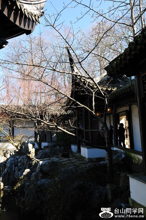 DSC_3012.jpg