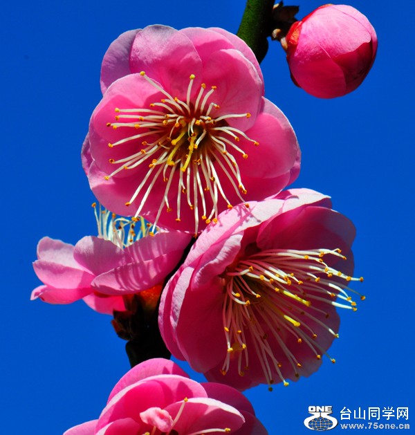 DSC_3081.jpg